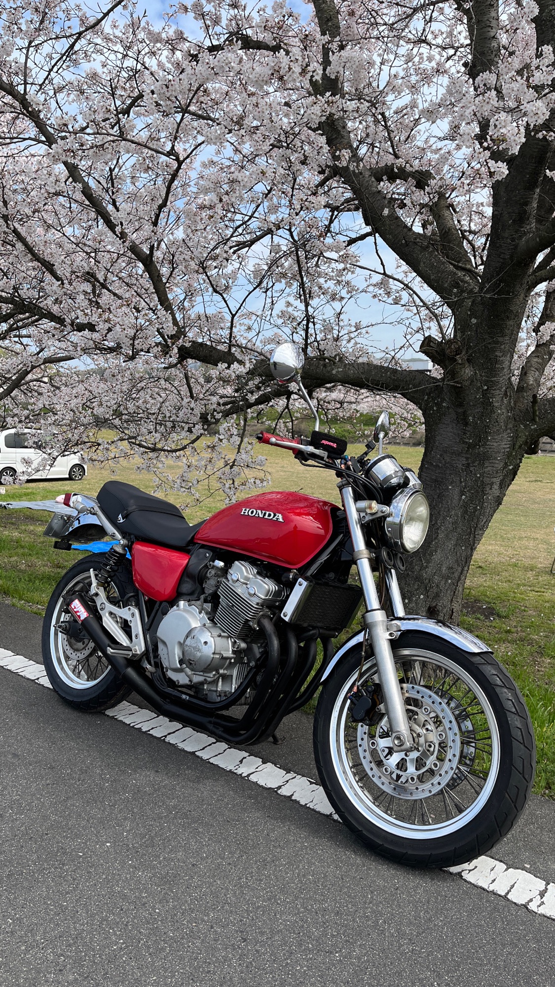 お花見ツーリング🛵🌸